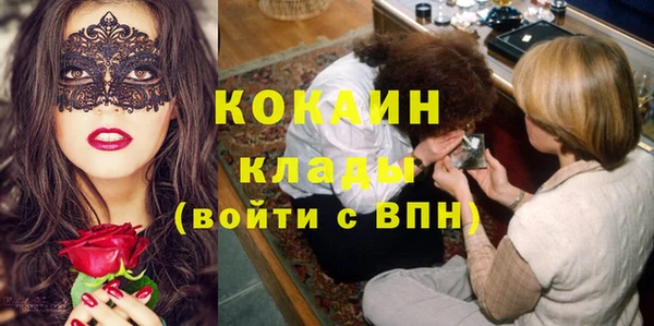 индика Кулебаки