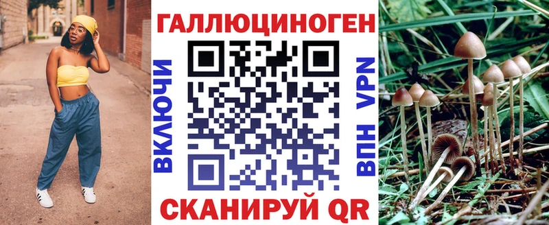 Псилоцибиновые грибы Psilocybine cubensis Хвалынск